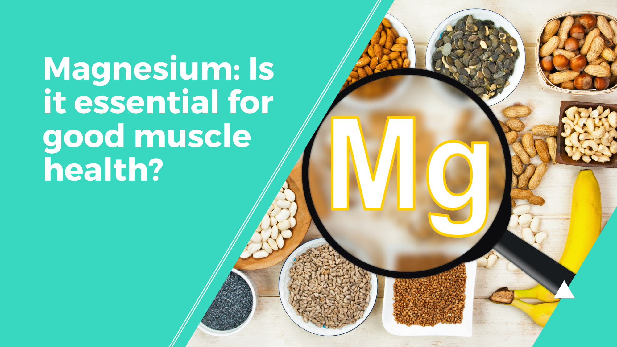 Magnesium Is it essential for good muscle health?